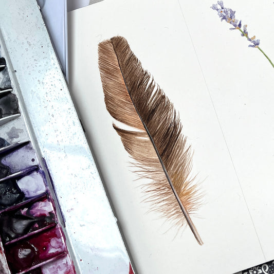 Feathers – A Detailed Study with Sophie Tivona