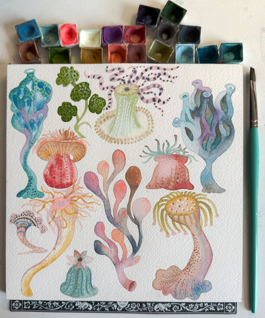 Seascapes: Ernst Haeckel with Claire Wilson