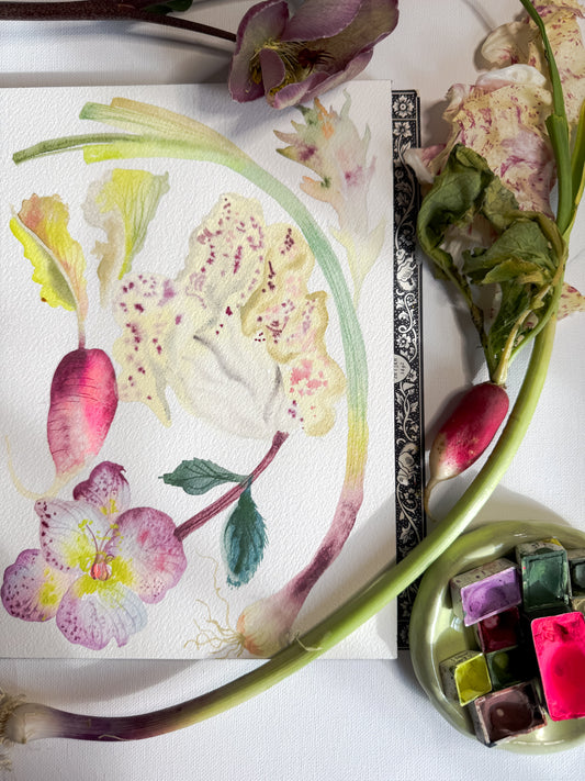 Painted Produce - Spring Legumes with Claire Wilson-Oghedo