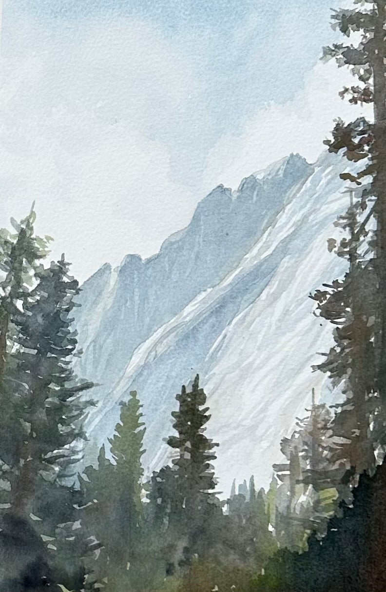 Trees and Forests with Dave Muller