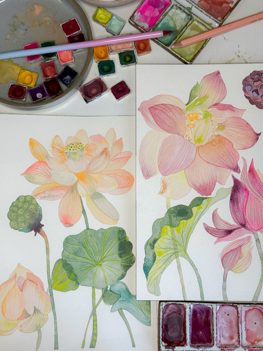 Fluid Florals - Lotus Blossoms with Claire Wilson-Oghedo