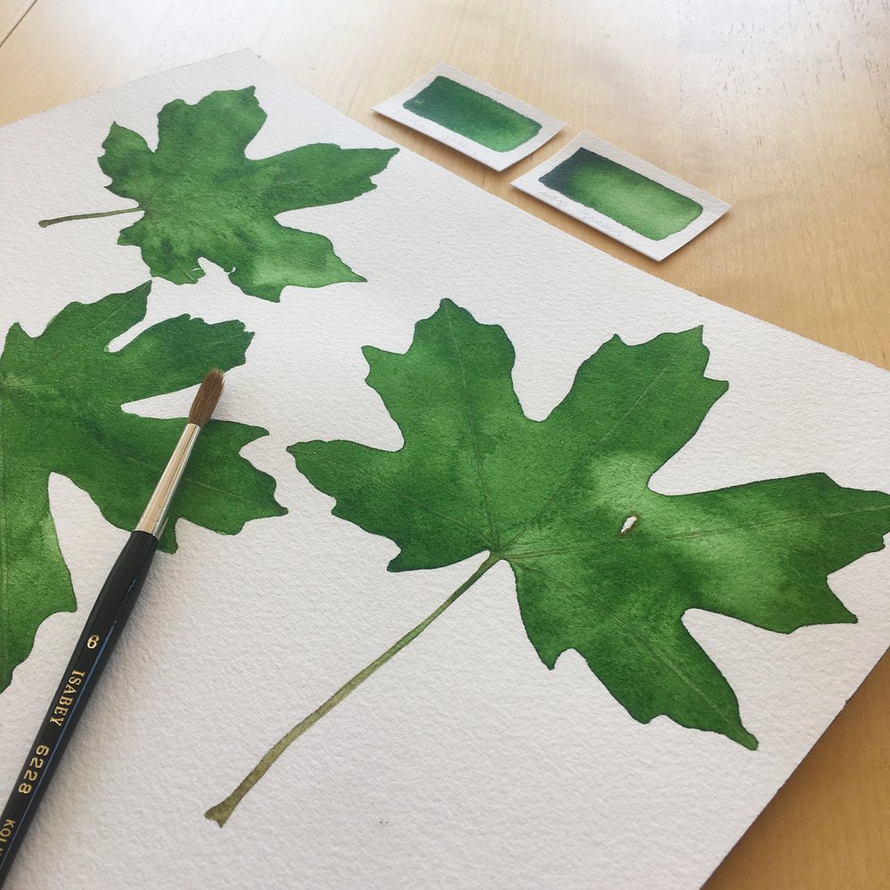 Painting Leaves with Sophie Tivona
