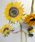 Fluid Florals - Sunflowers with Claire Wilson-Oghedo