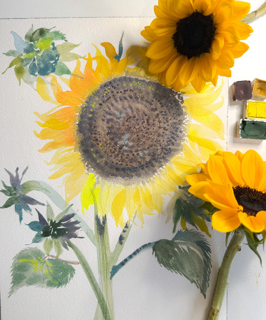 New! Fluid Florals - Sunflowers with Claire Wilson-Oghedo