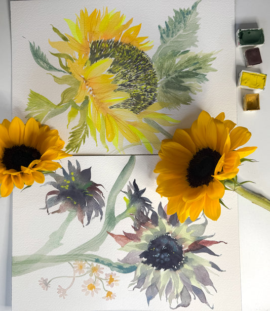 New! Fluid Florals - Sunflowers with Claire Wilson-Oghedo