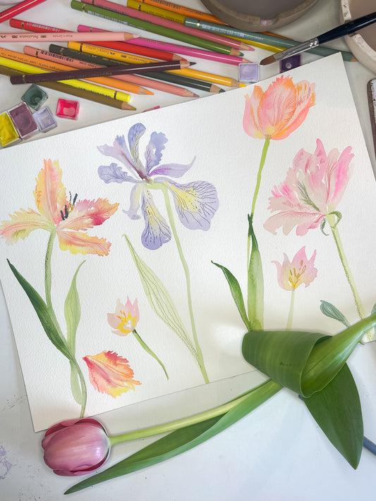 Watercolour Flora - Elizabeth Blackadder with Claire Wilson
