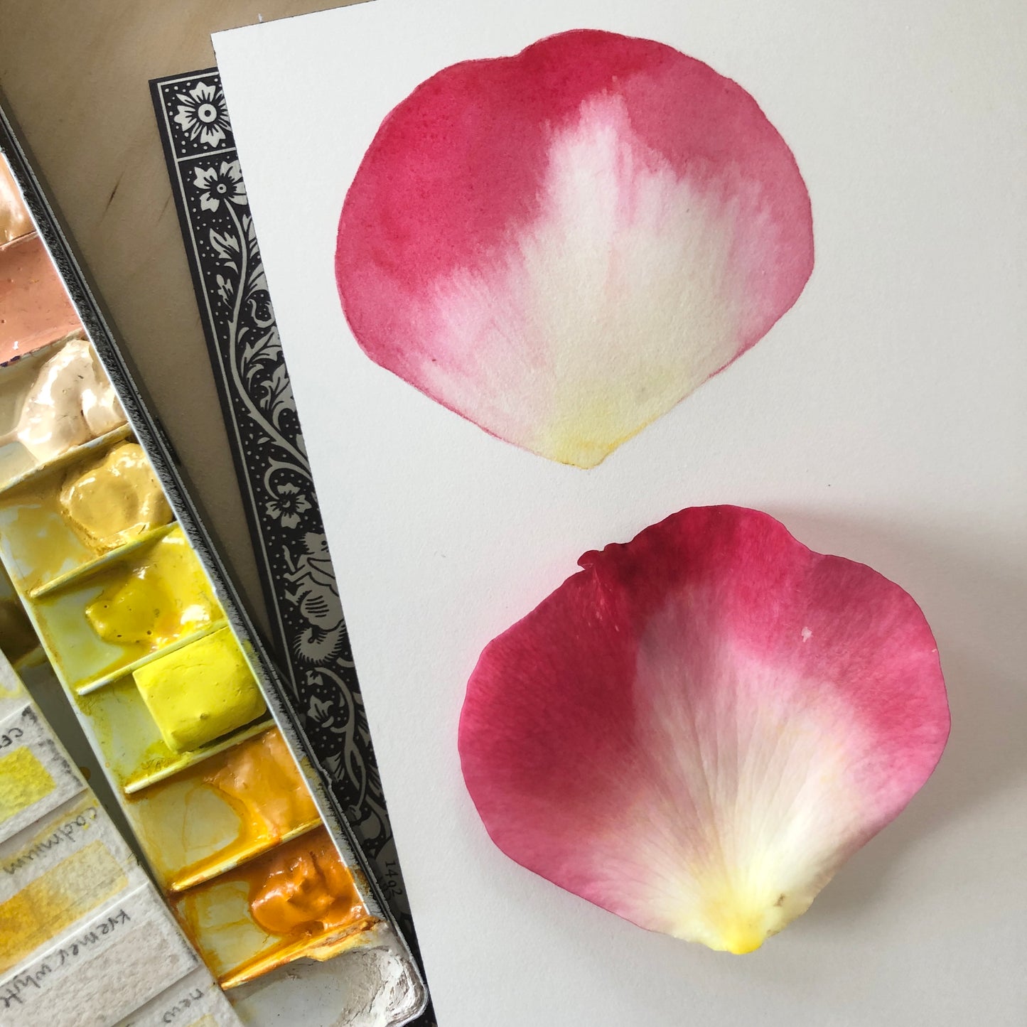 Painting Petals with Sophie Tivona