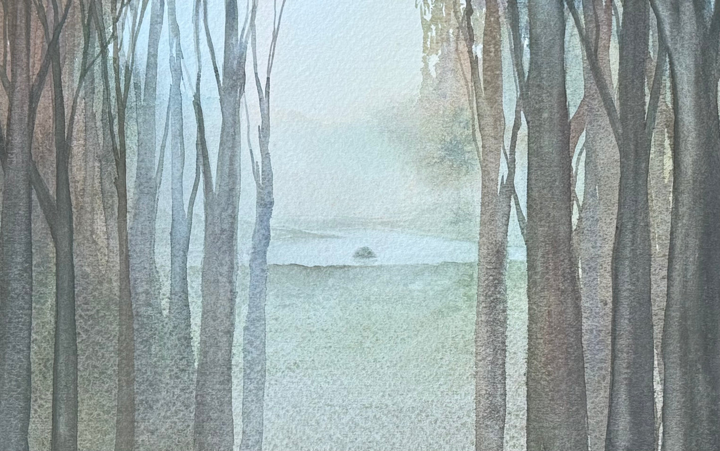 Trees and Forests with Dave Muller