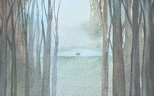 Trees and Forests with Dave Muller