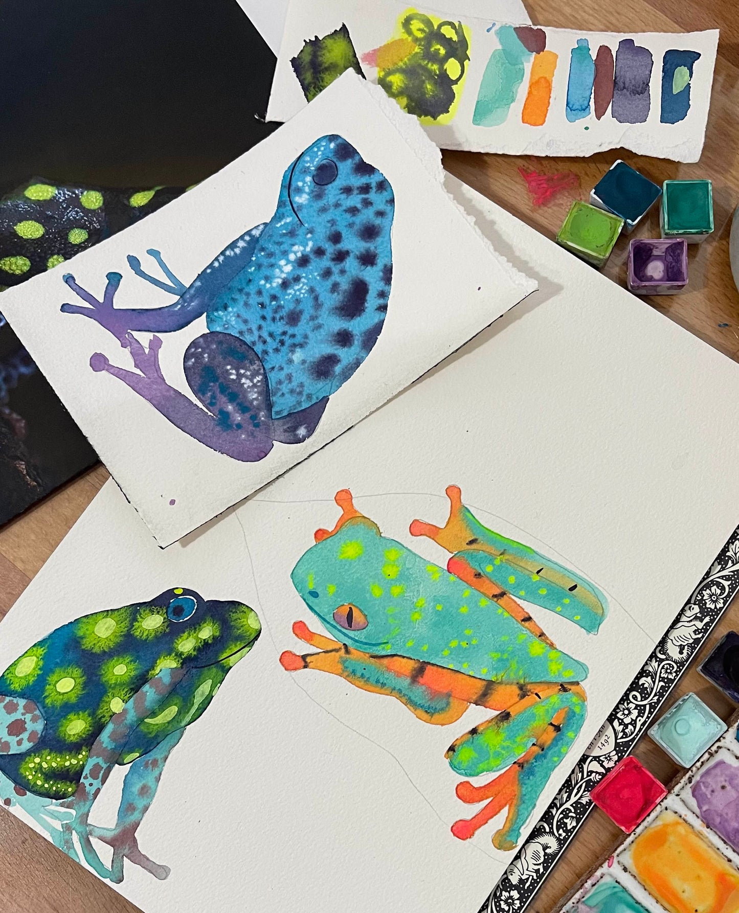 Fluid Fauna: Tree Frogs with Claire Wilson