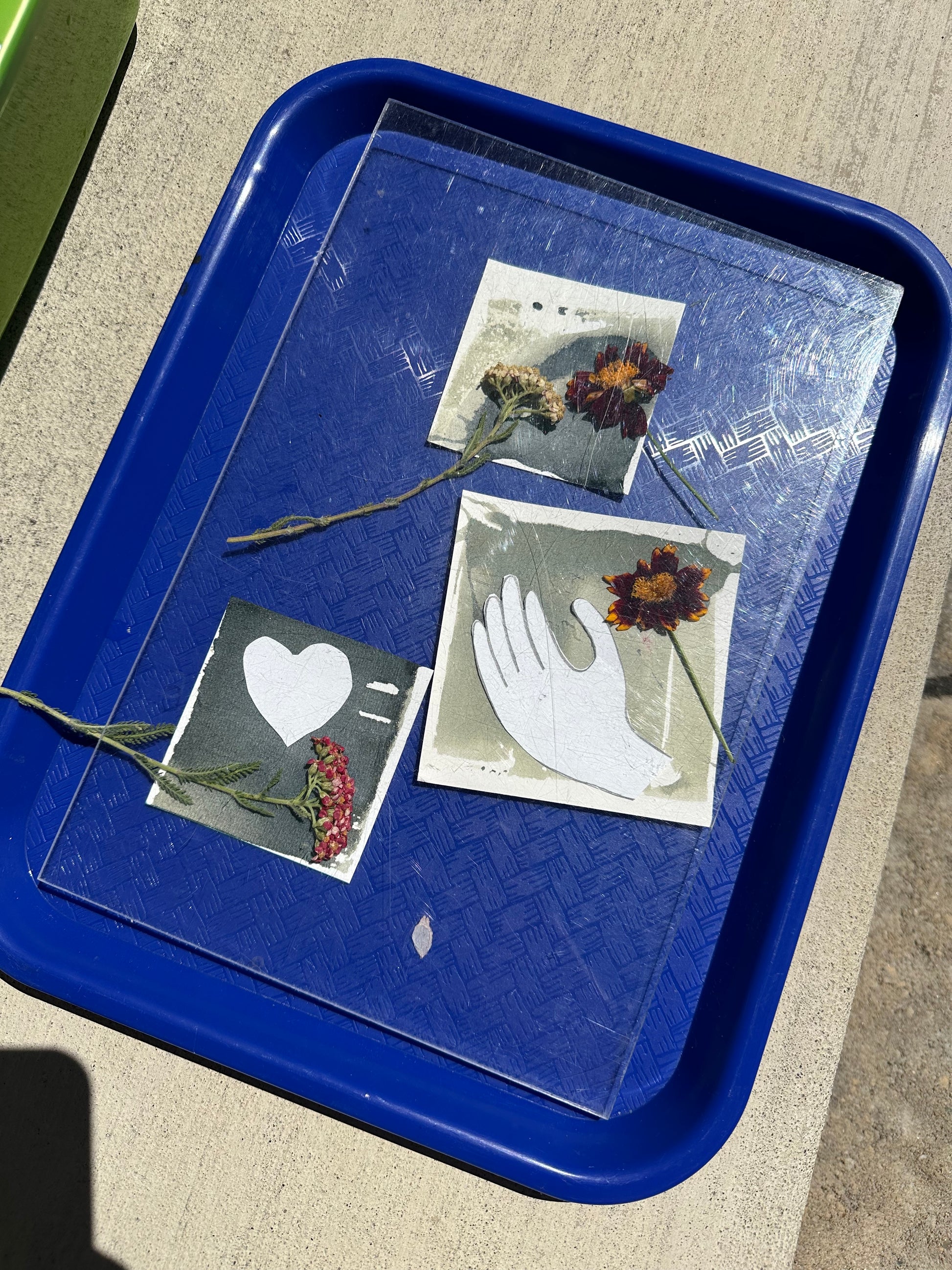 Additional product photo of the Making Cyanotypes with Lis Scarpace.