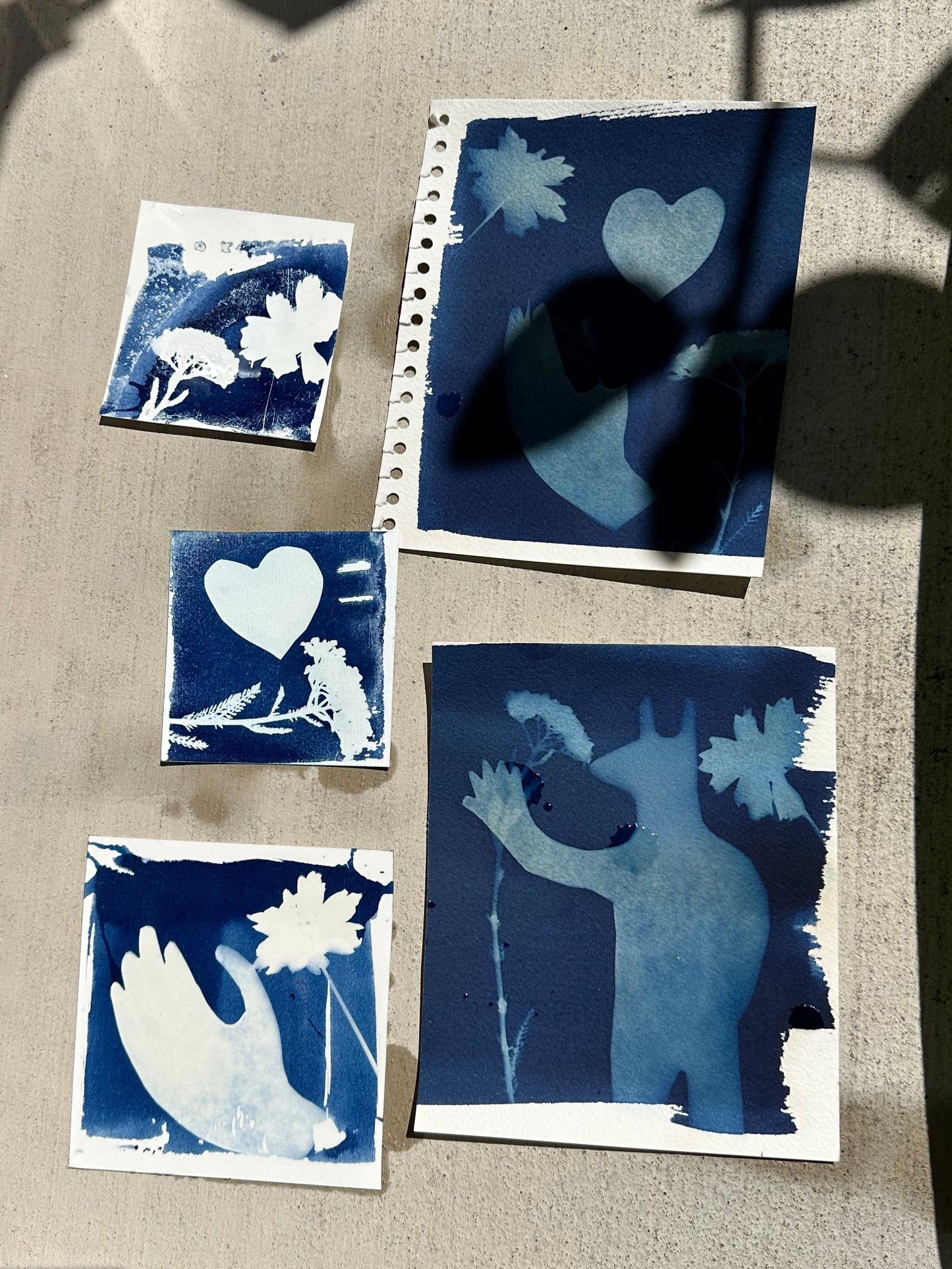 Additional product photo of the Making Cyanotypes with Lis Scarpace.