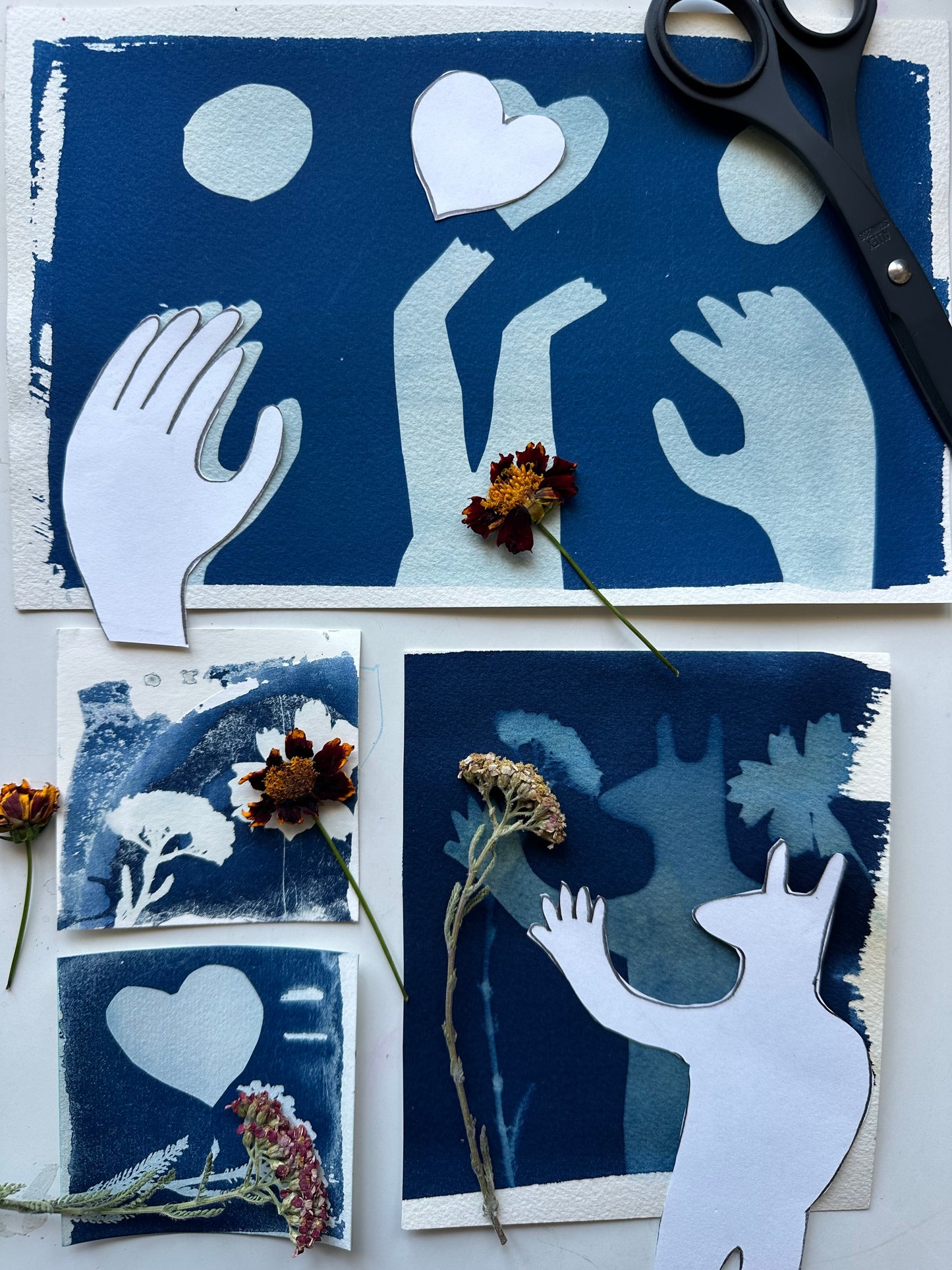 Additional product photo of the Making Cyanotypes with Lis Scarpace.