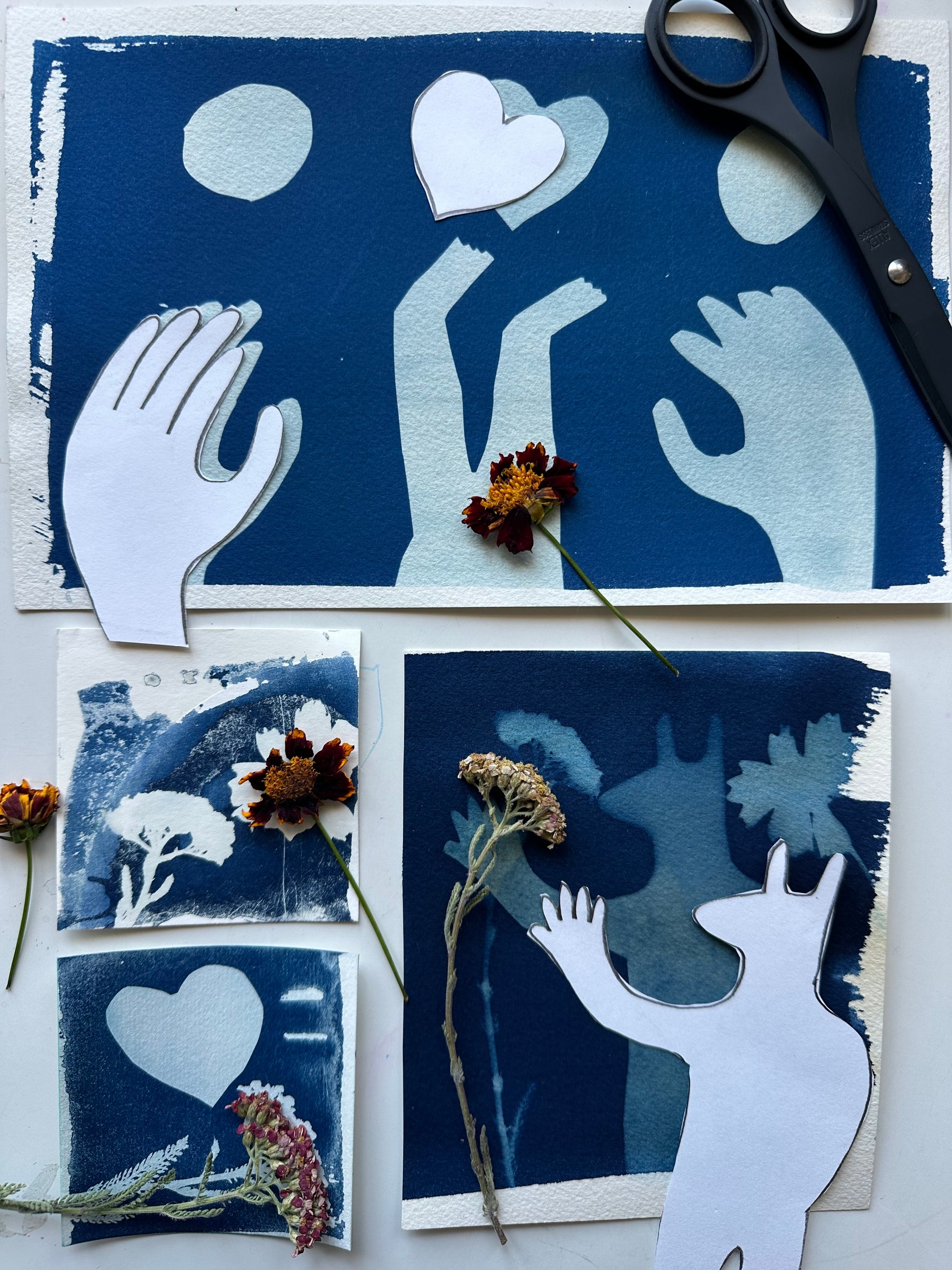 Additional product photo of the Making Cyanotypes with Lis Scarpace.