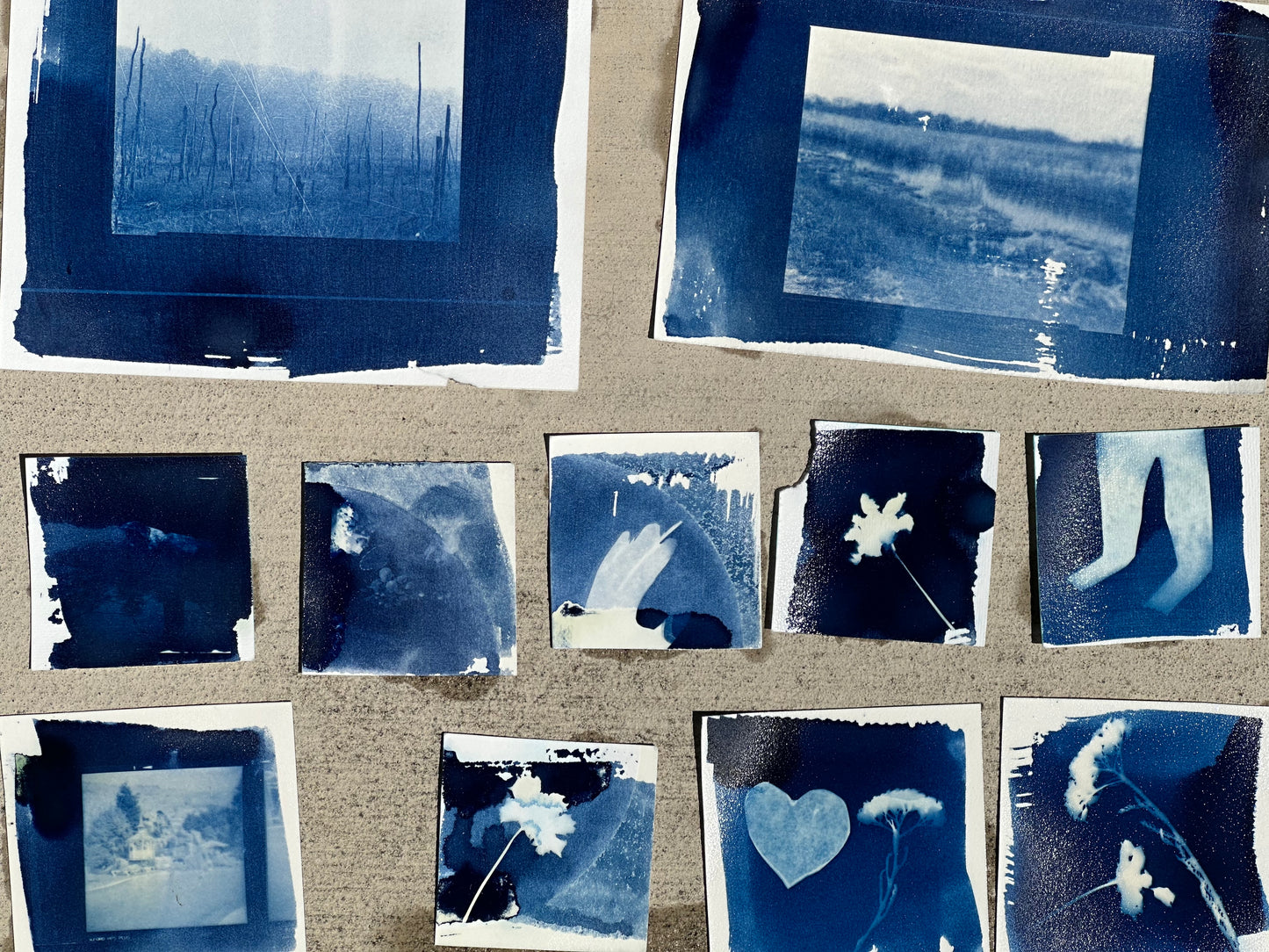 Making Cyanotypes with Lis Scarpace, sATURDAY, SEPTEMBER 5, 2pm - 4pm PTIn-person workshop at CfM Art Room, San Francisco.