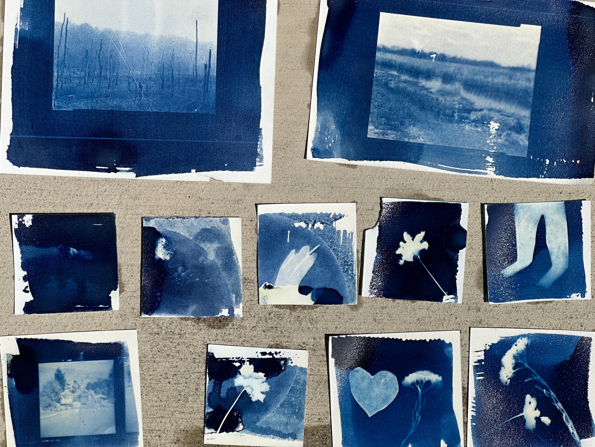 Making Cyanotypes with Lis Scarpace, sATURDAY, SEPTEMBER 5, 2pm - 4pm PTIn-person workshop at CfM Art Room, San Francisco.