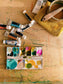 Evening Gouache Still Life with Lindsay Stripling