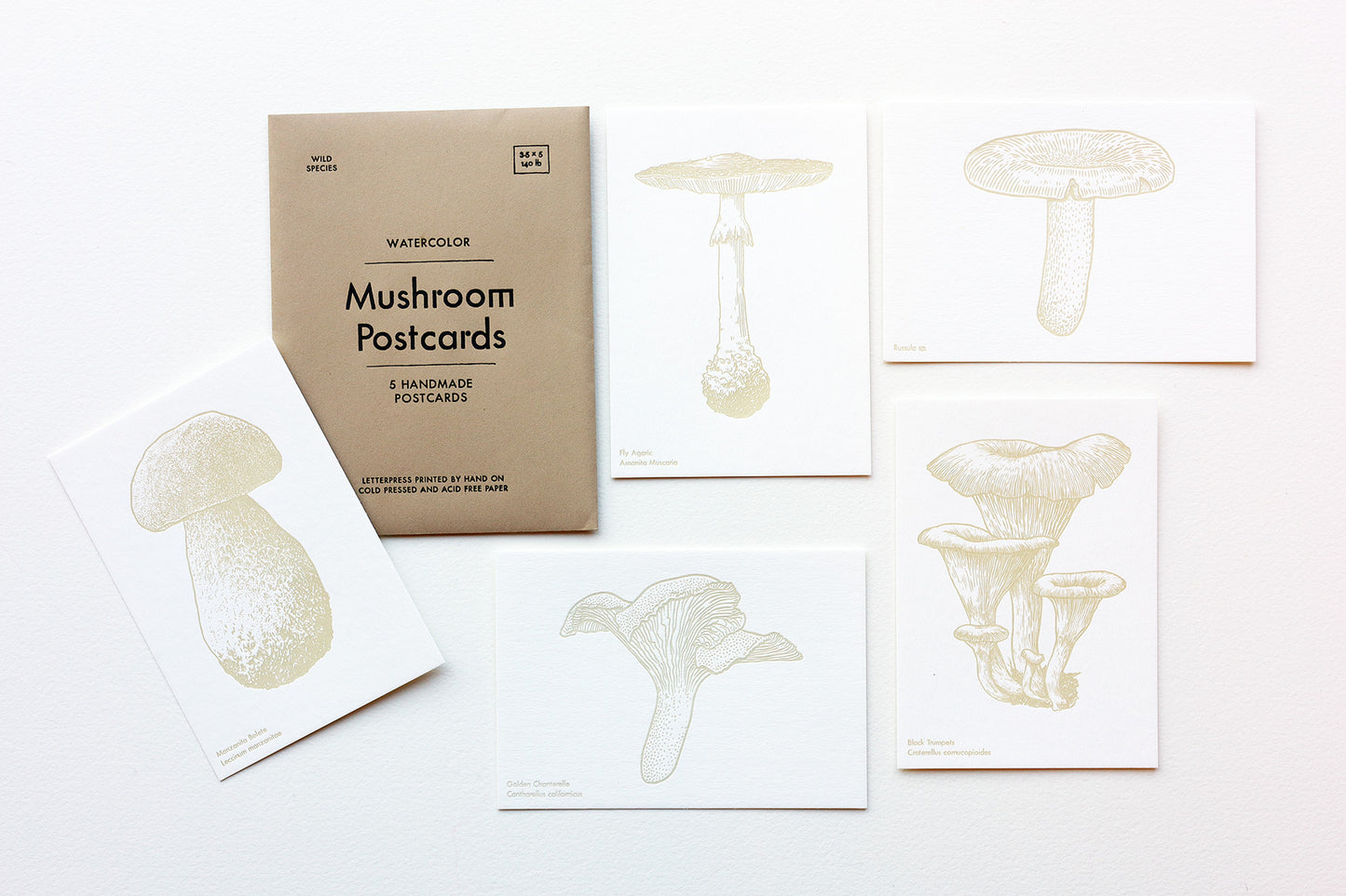 Mushroom Watercolor Postcards