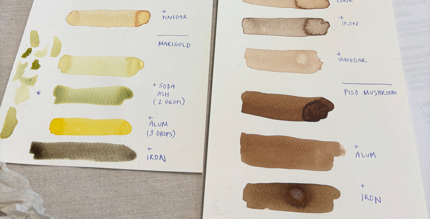An Introduction to Natural Color Making for Artists with Lena Wolff