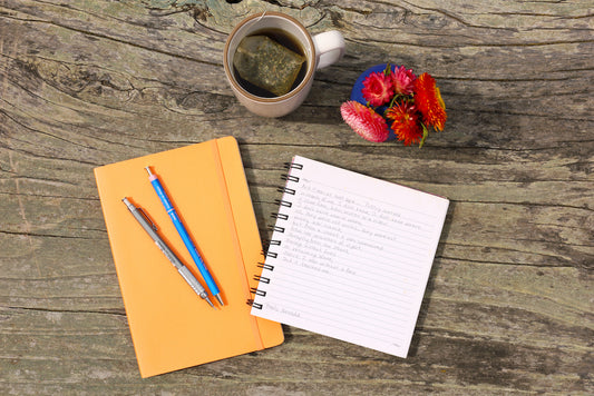 New! Writers' Meetup with Lana Porcello