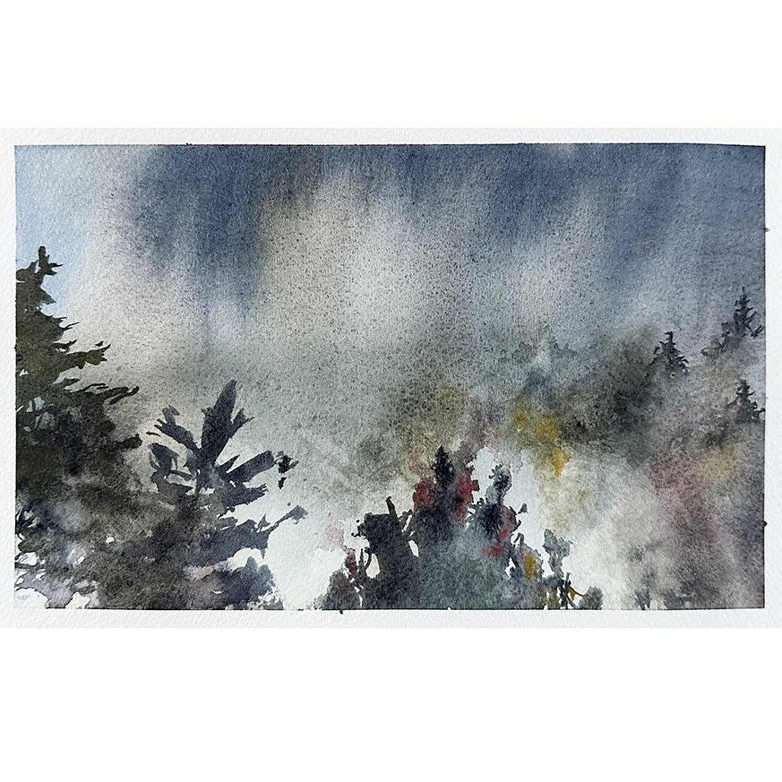 Intuitive Landscape with Dave Muller
