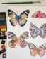 Fluid Fauna: Butterflies and Moths with Claire Wilson