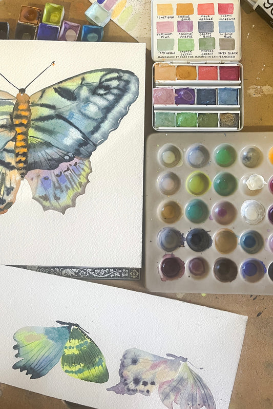 Fluid Fauna: Butterflies and Moths with Claire Wilson