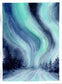 Naturalist Studies: Northern Lights with Melanie Lan