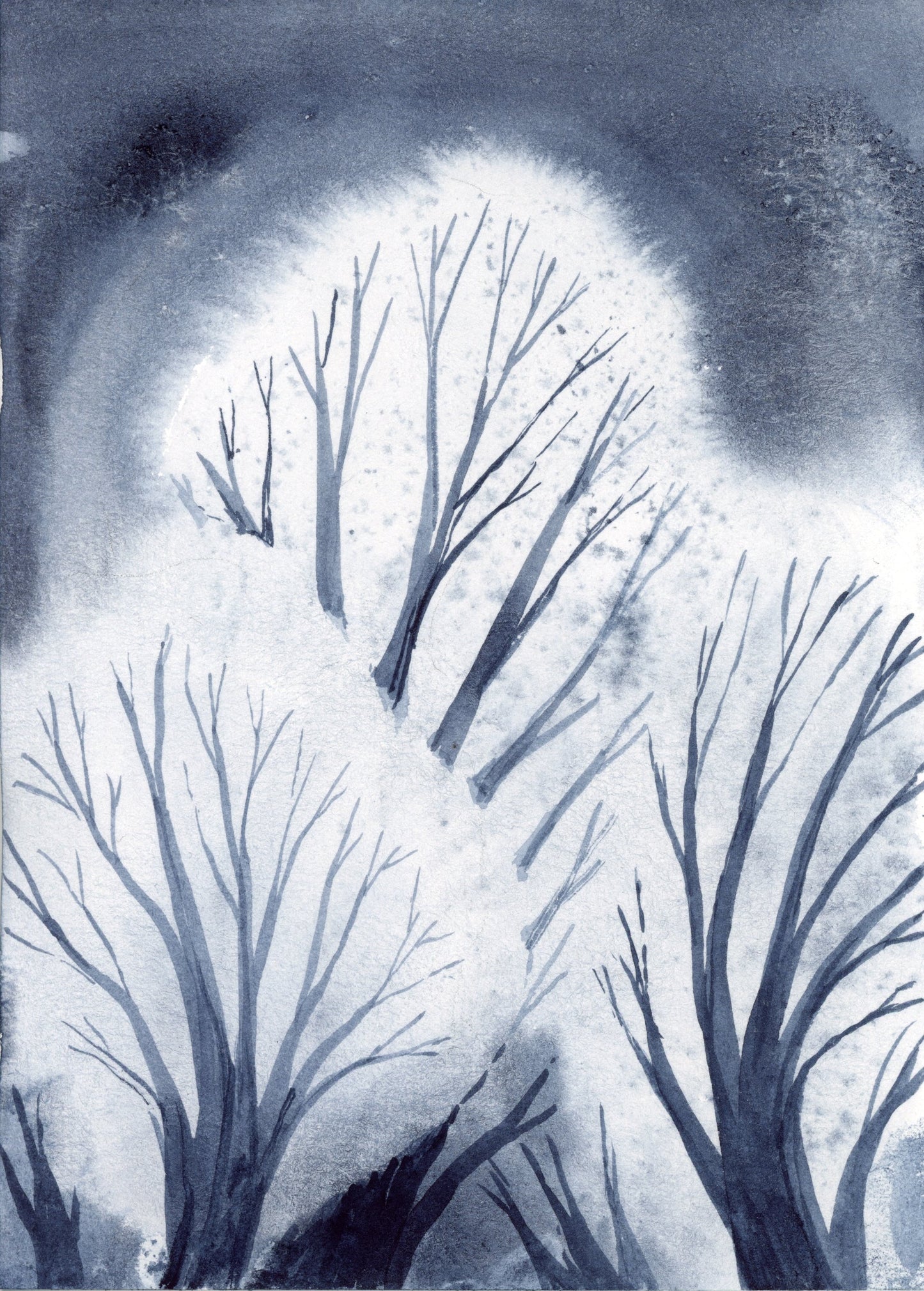 Winter Woods with Melanie Lan