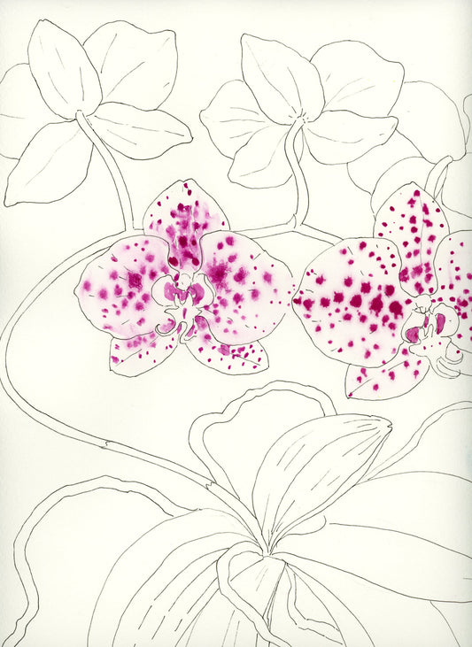 Ruth Asawa's Flowers with Melanie Lan