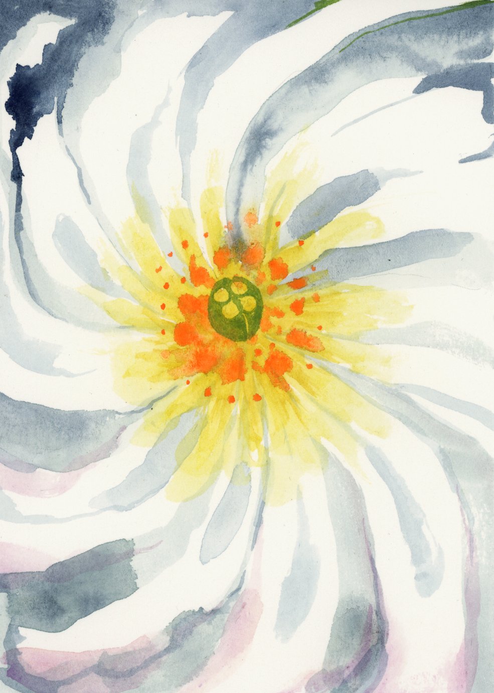 Georgia O'Keeffe's Flowers with Melanie Lan