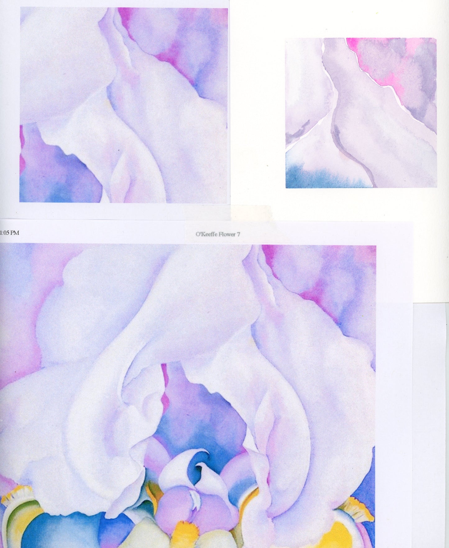 Georgia O'Keeffe's Flowers with Melanie Lan