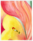 Georgia O'Keeffe's Flowers with Melanie Lan