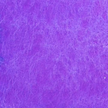 A cropped close up of the CfM Lupine swatch.
