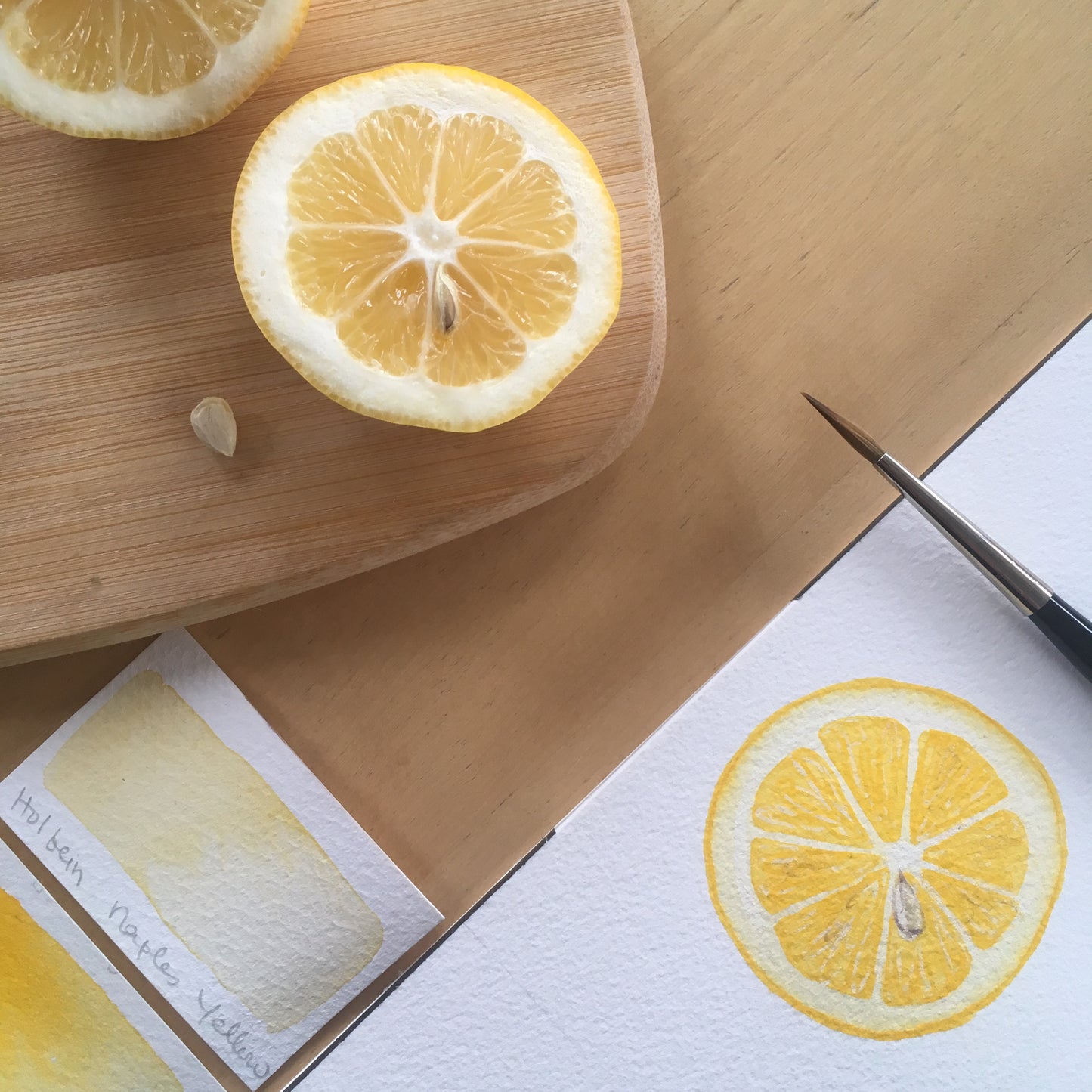 Juicy Citrus Slices with Sophie Tivona