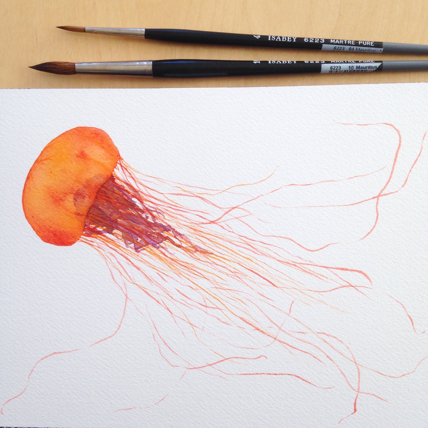Painting Jellyfish with Sophie Tivona