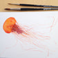 Painting Jellyfish with Sophie Tivona