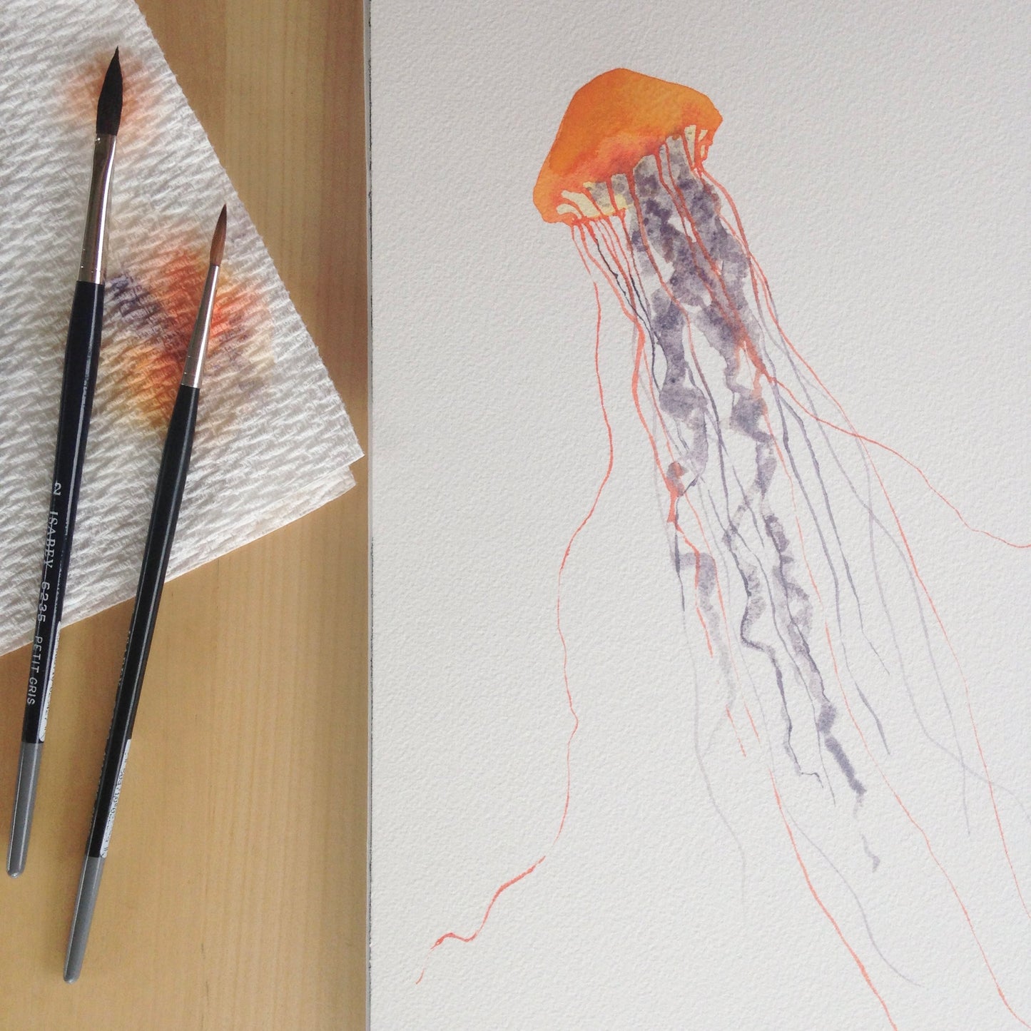 Painting Jellyfish with Sophie Tivona