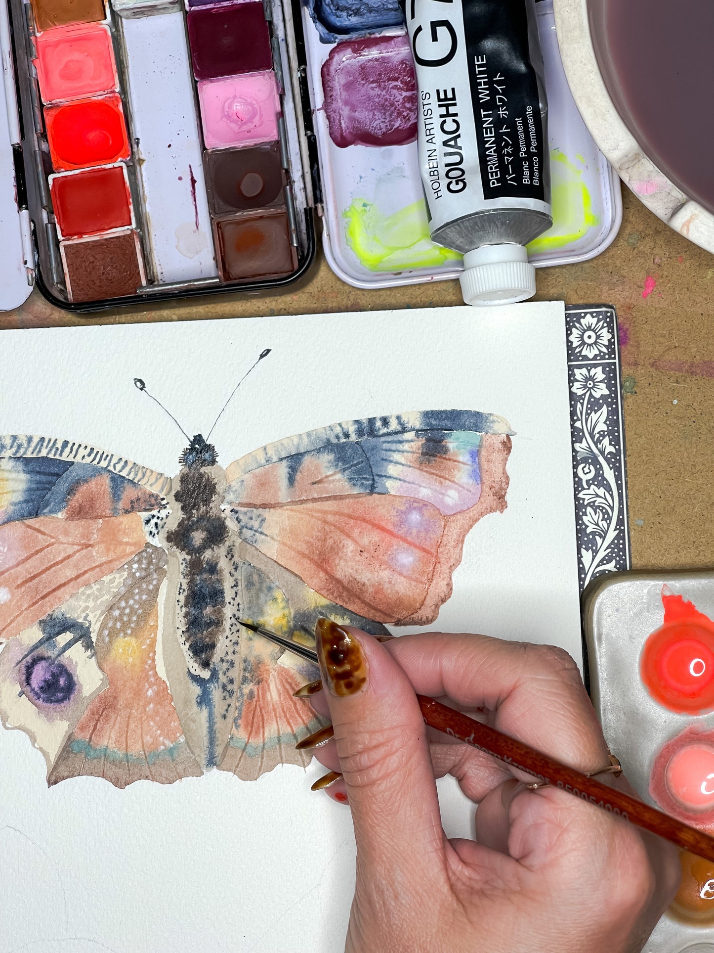 Fluid Fauna: Butterflies and Moths with Claire Wilson