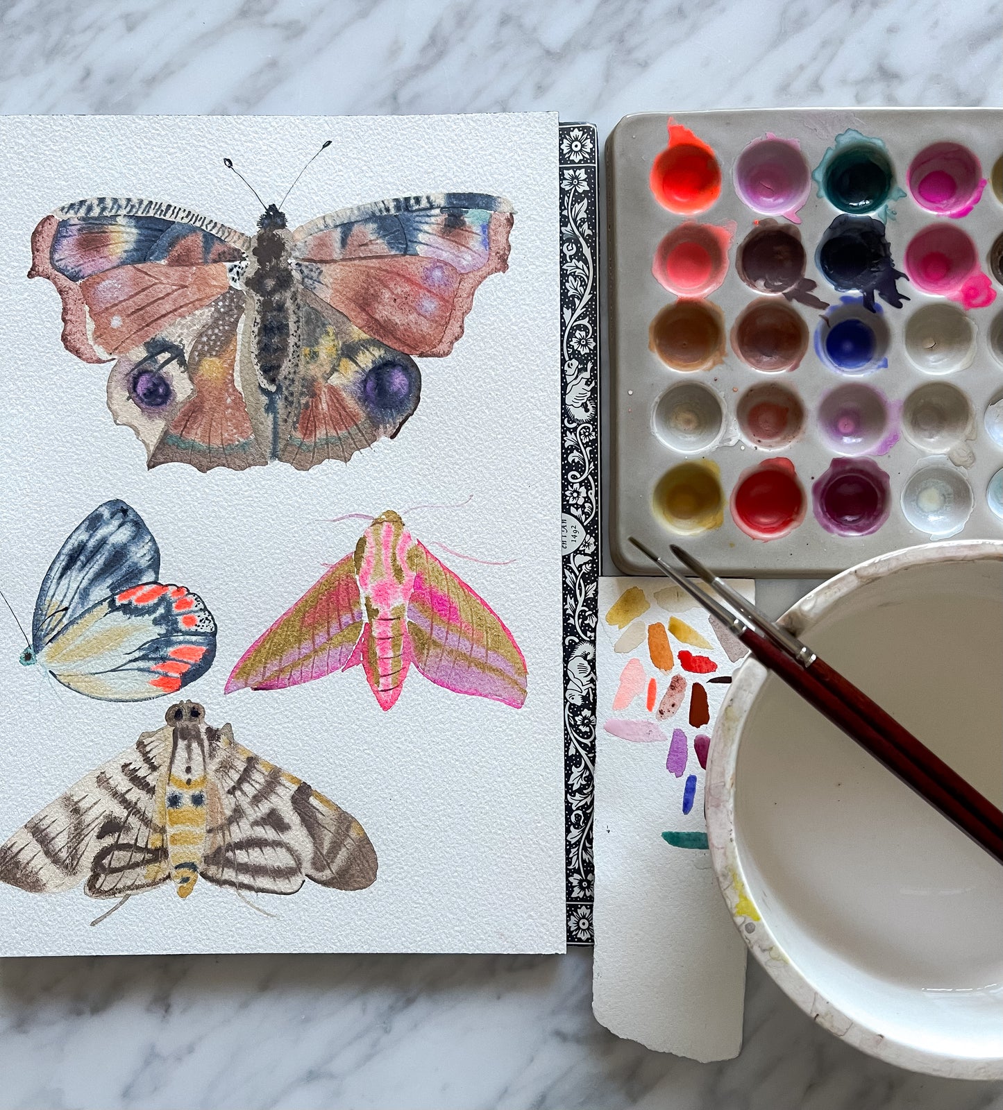 Fluid Fauna: Butterflies and Moths with Claire Wilson