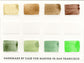 A close up of the pre-painted Monochromatic Green/Earth Palette swatch card.