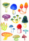 Fantastic Fungi with Melanie Lan