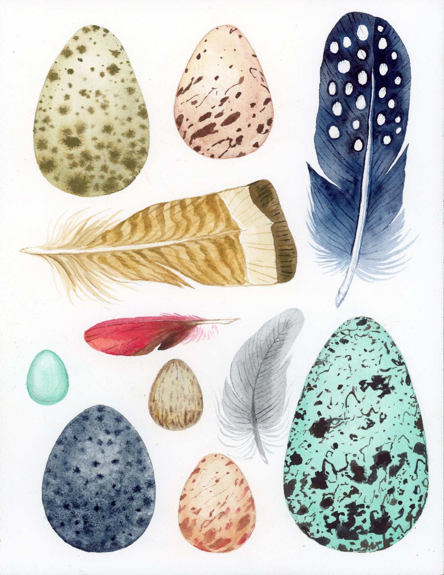 Naturalist Studies: Eggs & Feathers with Melanie Lan